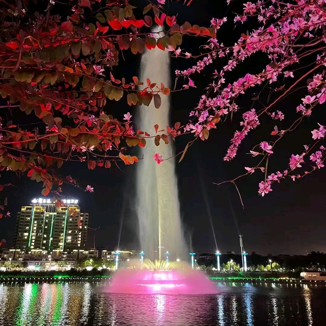 周周