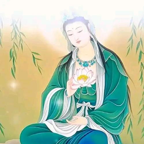 🇨🇳中国黄观音