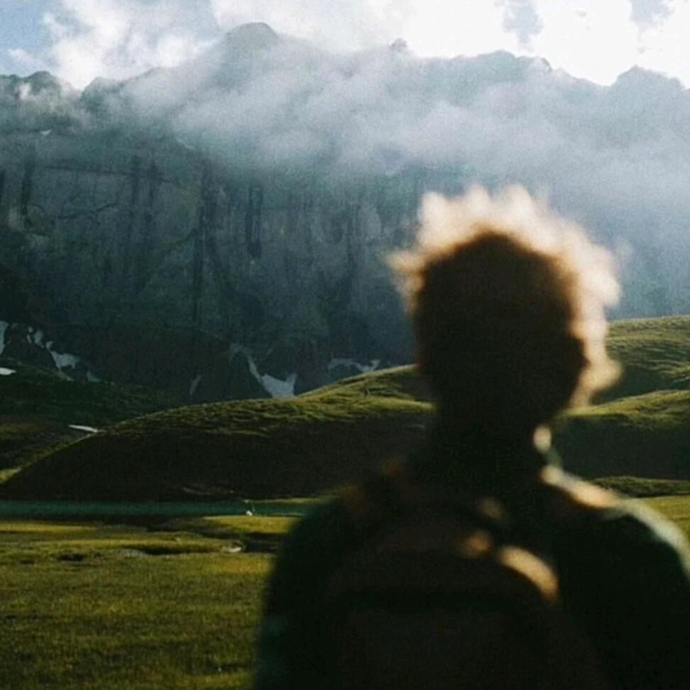 林黛玉倒拔鲁智深