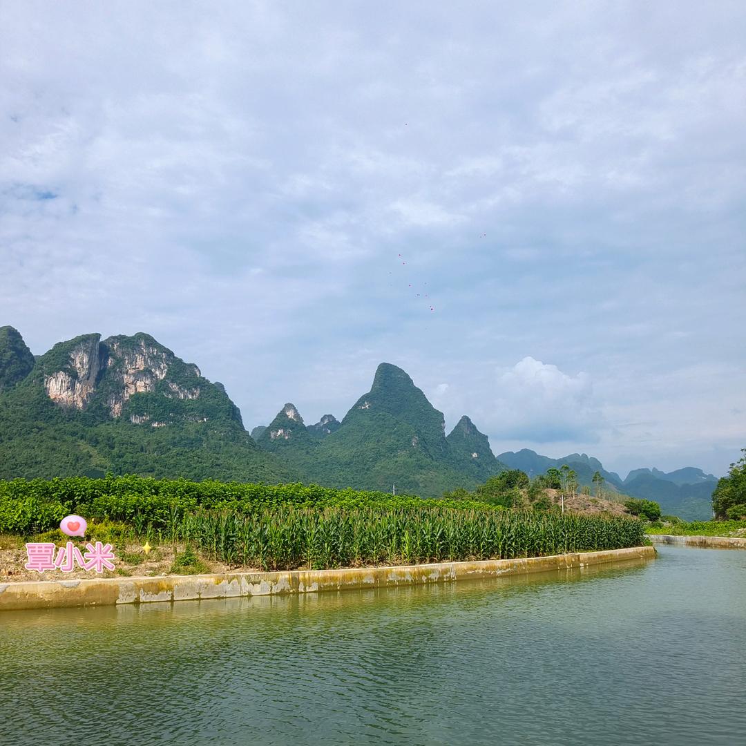 覃小米