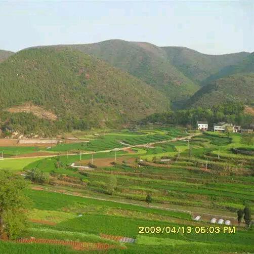 余根喜