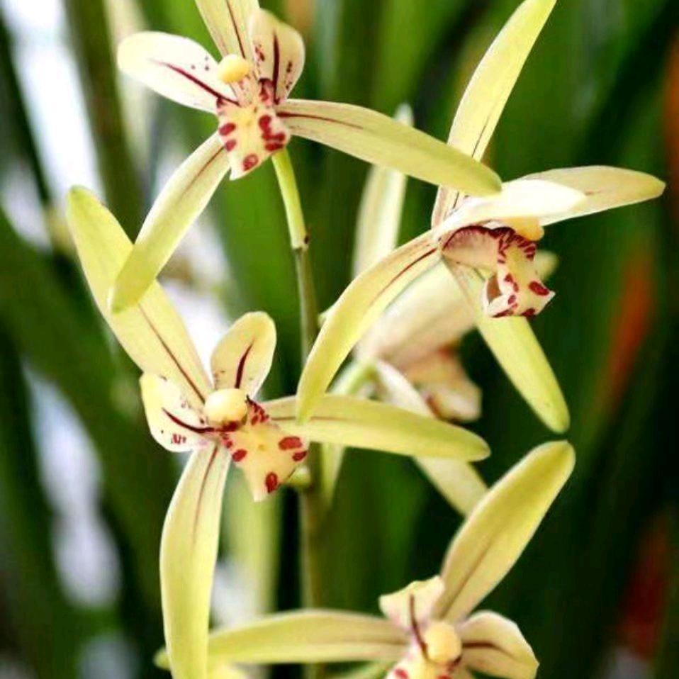 谢，，拒绝私聊