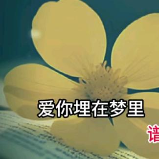 岁月如诗