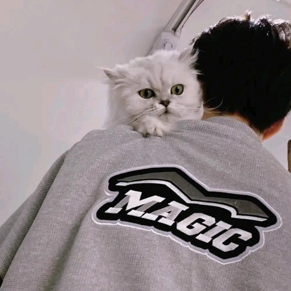 迷人又混蛋