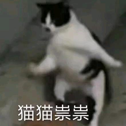 小怪。