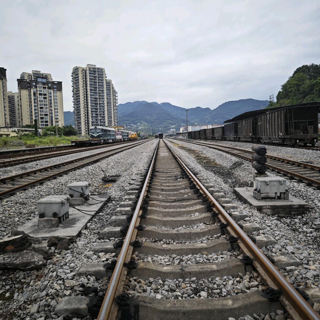 情绪输给了昨天