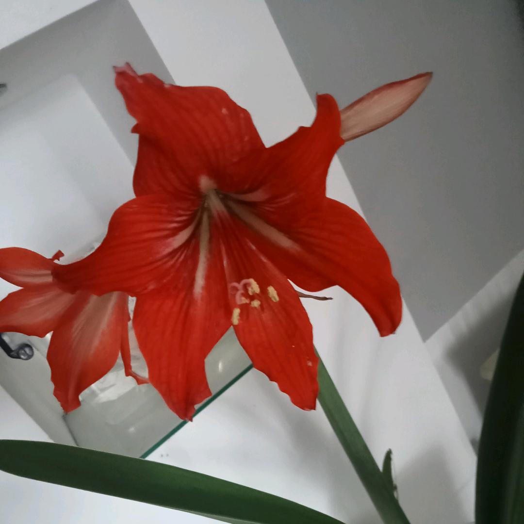 因为开心所以开心