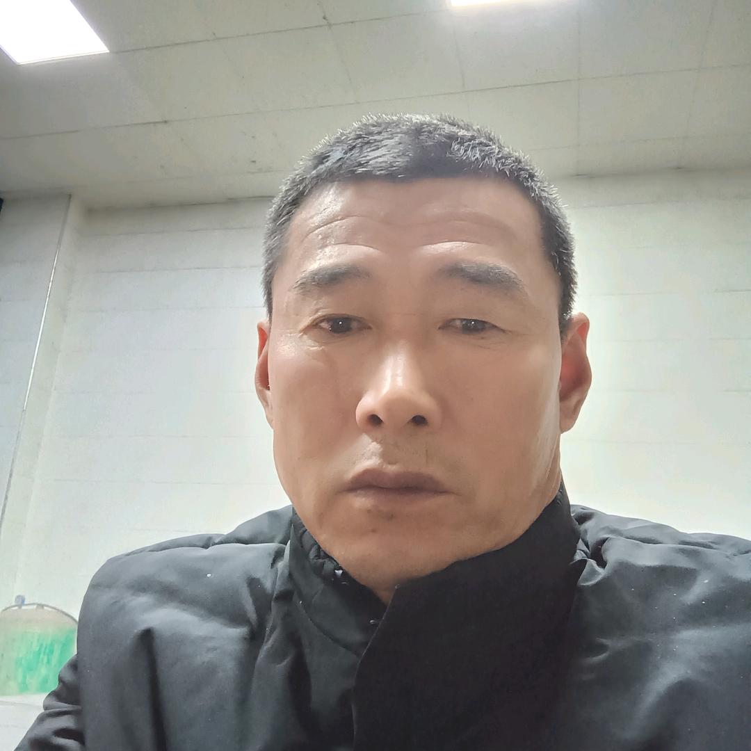 韩飞