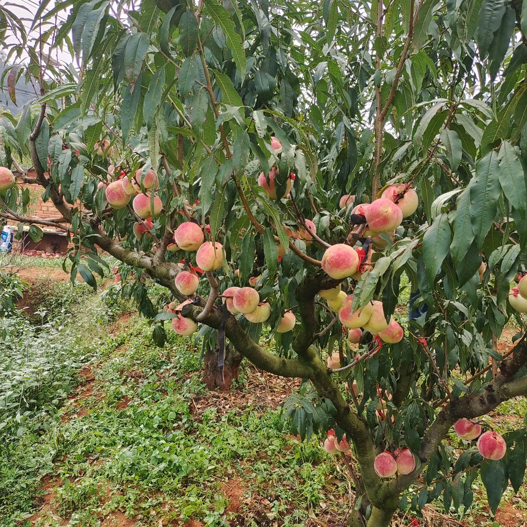এ累了谁心໌ᮨ🚬庝🍶དྷ༗࿐