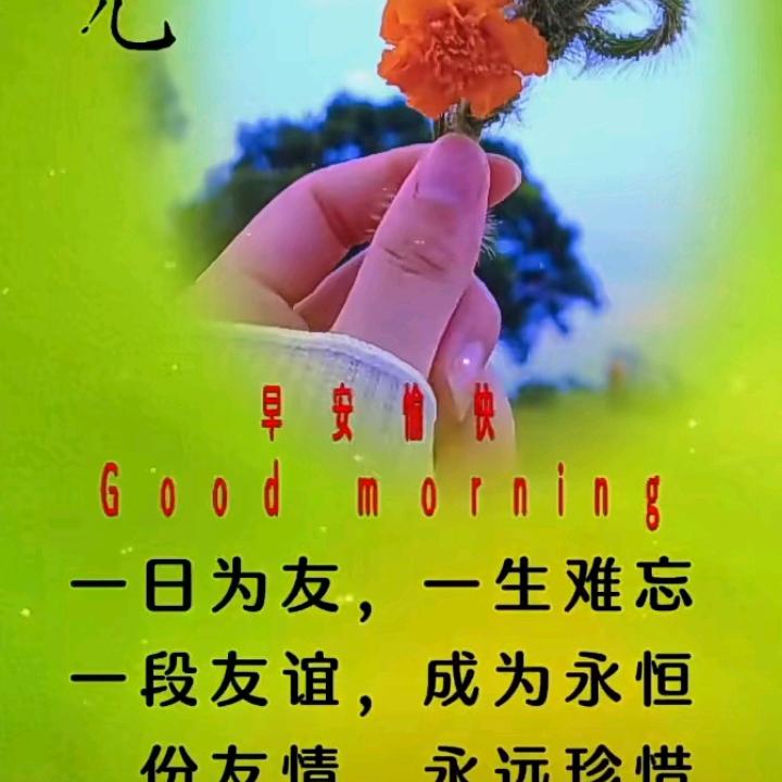 冰冻❤️寒