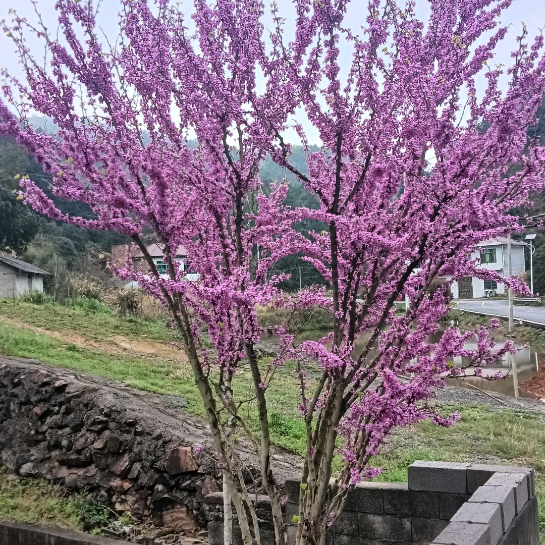 自由自在过好每一天，