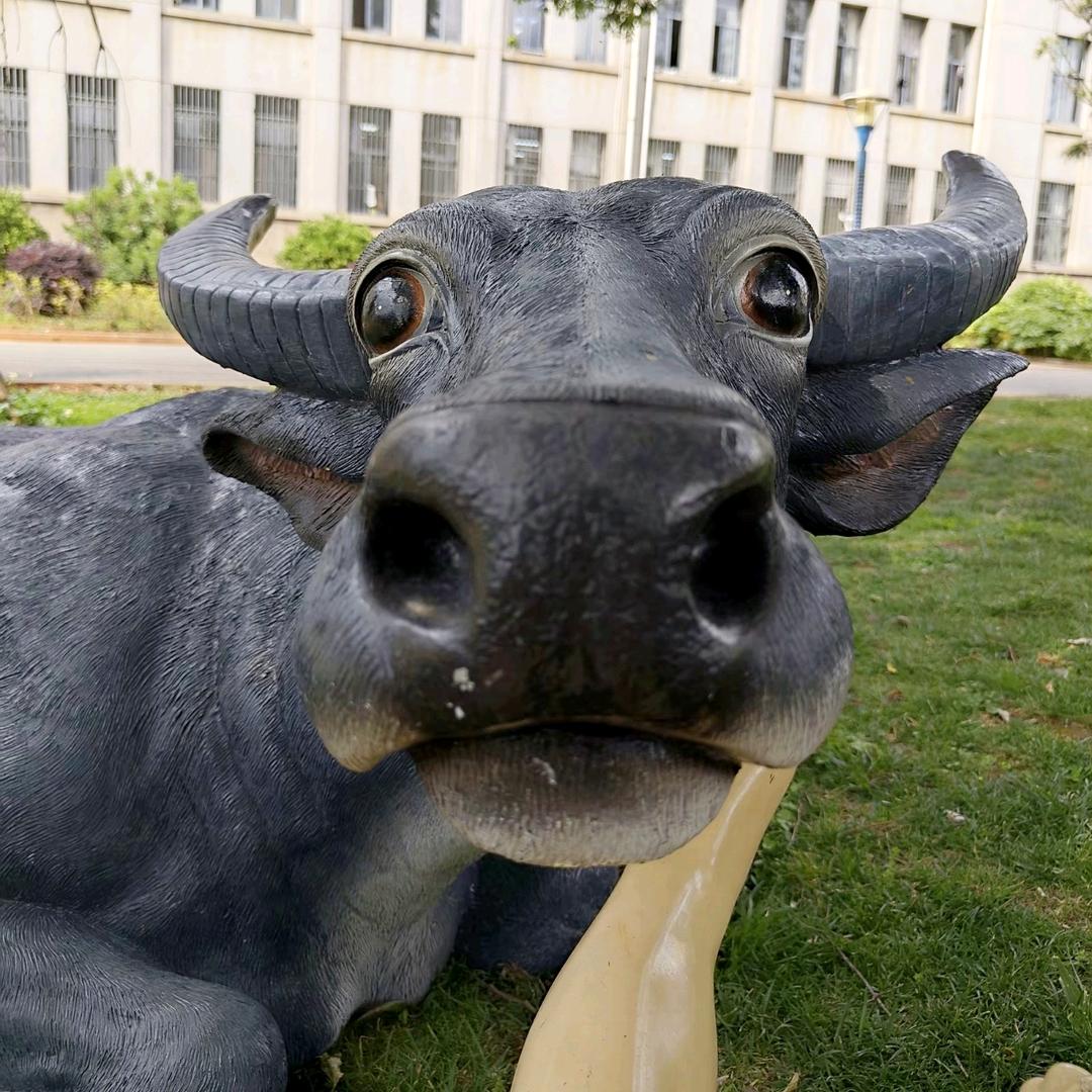 狂炫老沈阳鸡架能成为世界选美小姐冠军吗？