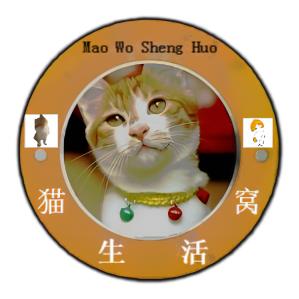 猫窝生活