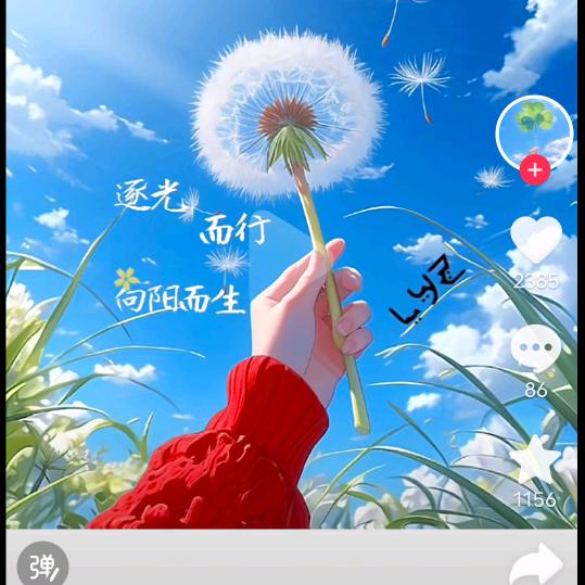 阳光下的微笑