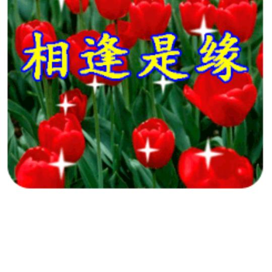 忘记过去，从头在来