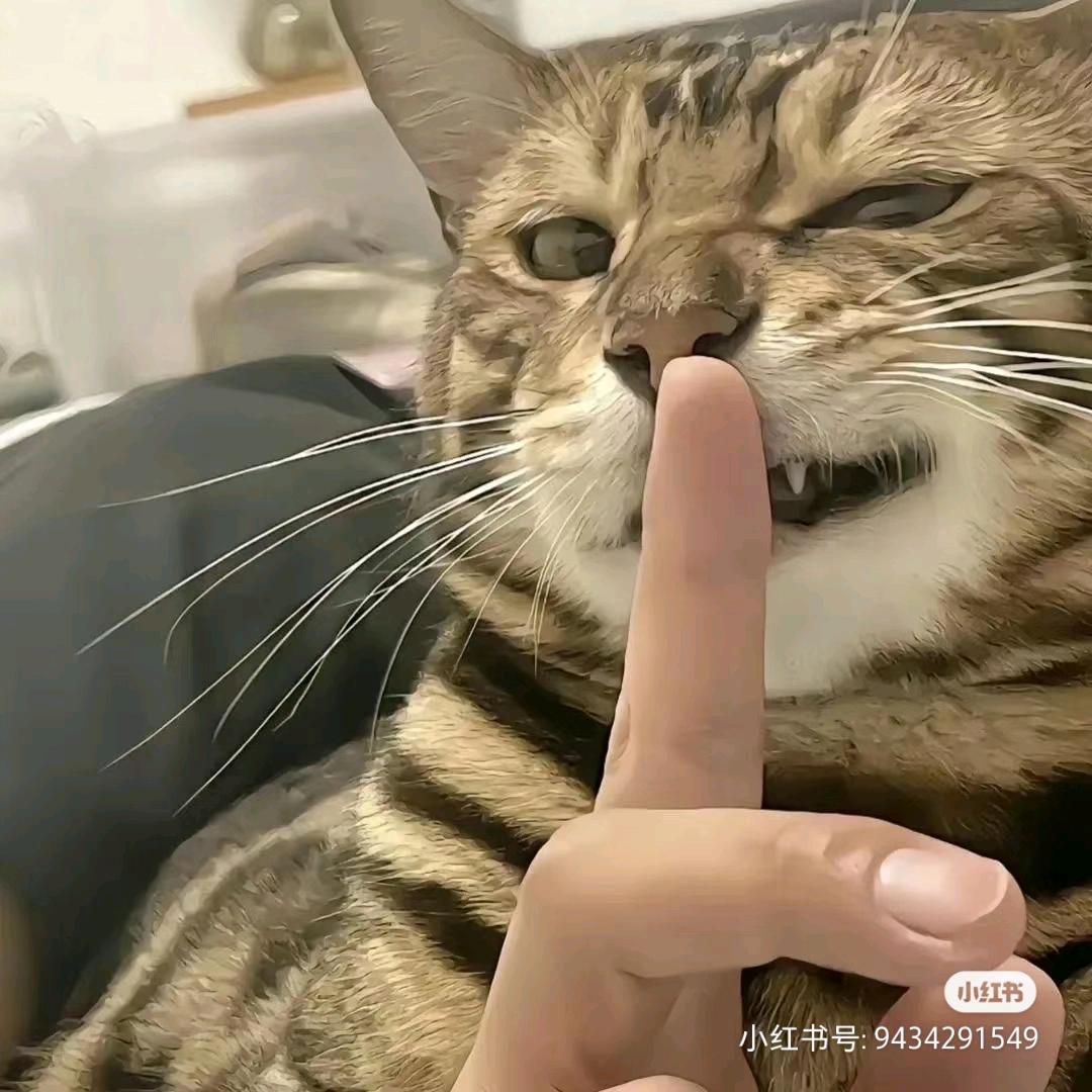 别整奥