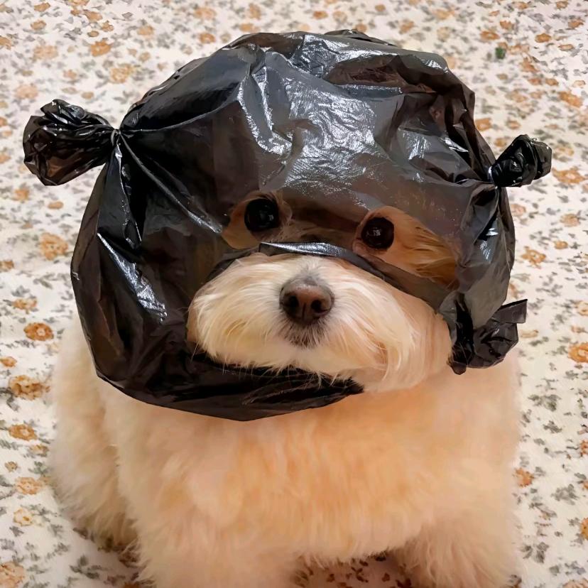 小火慢炖