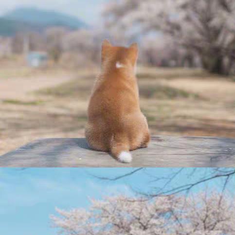 顺其自然