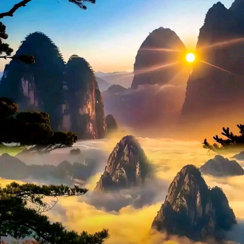 关心别人。快乐自己🌞