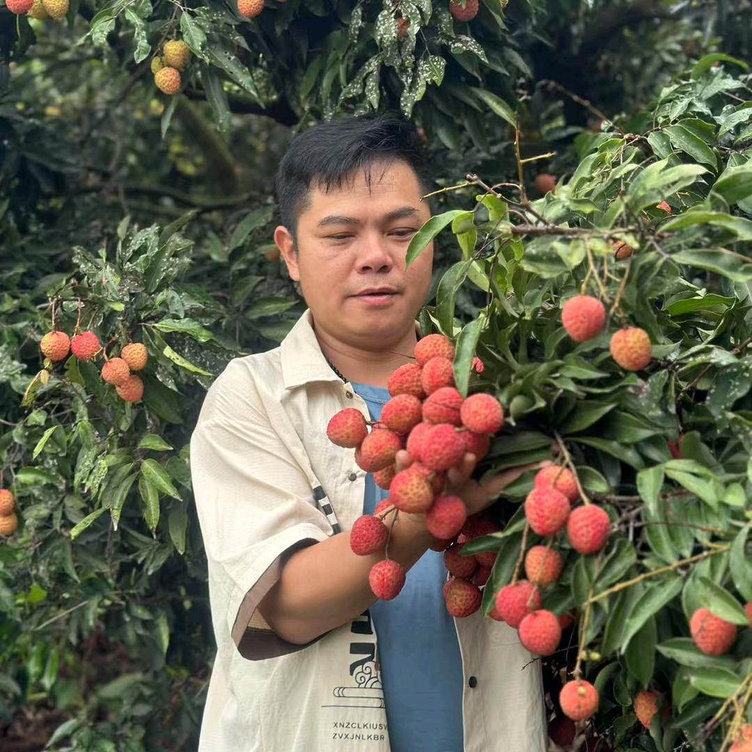 果香汇水果