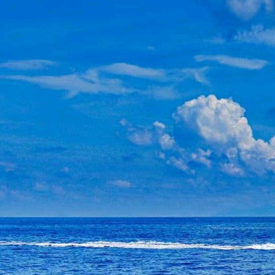 海天一色