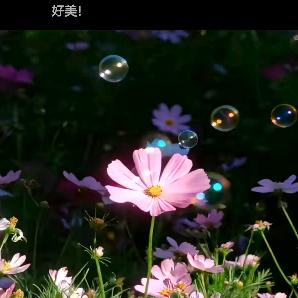 欣悦头像