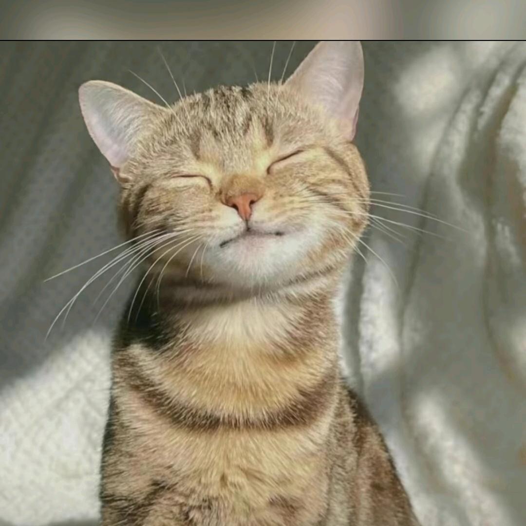 KK助眠羽绒🧘‍♀️