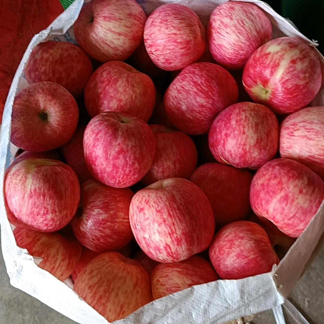 鲜果优选448-老江