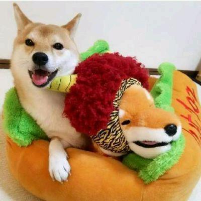 专业安装🛠充电桩