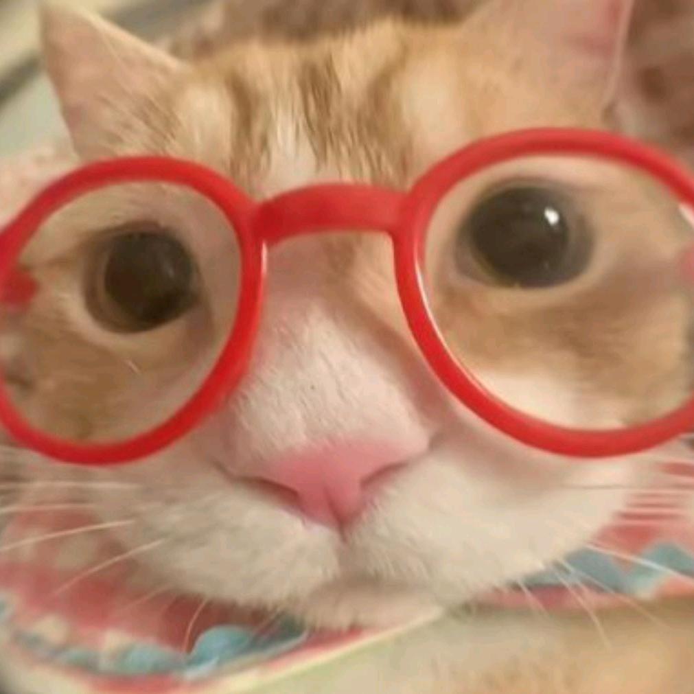 小琳大王
