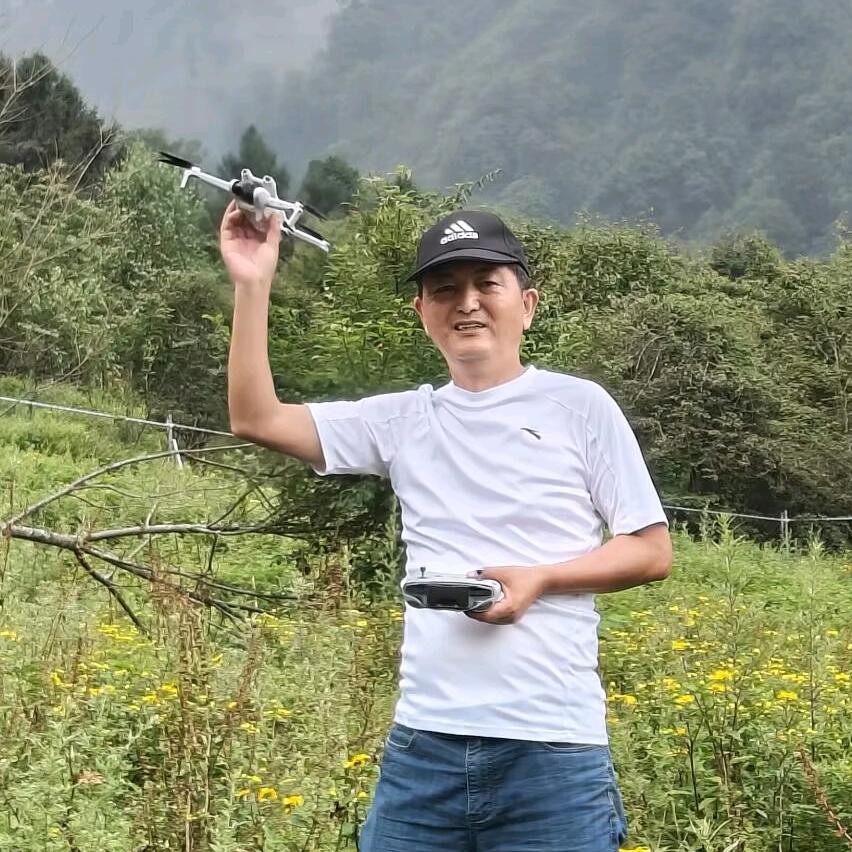 一叶知秋-老叶光影