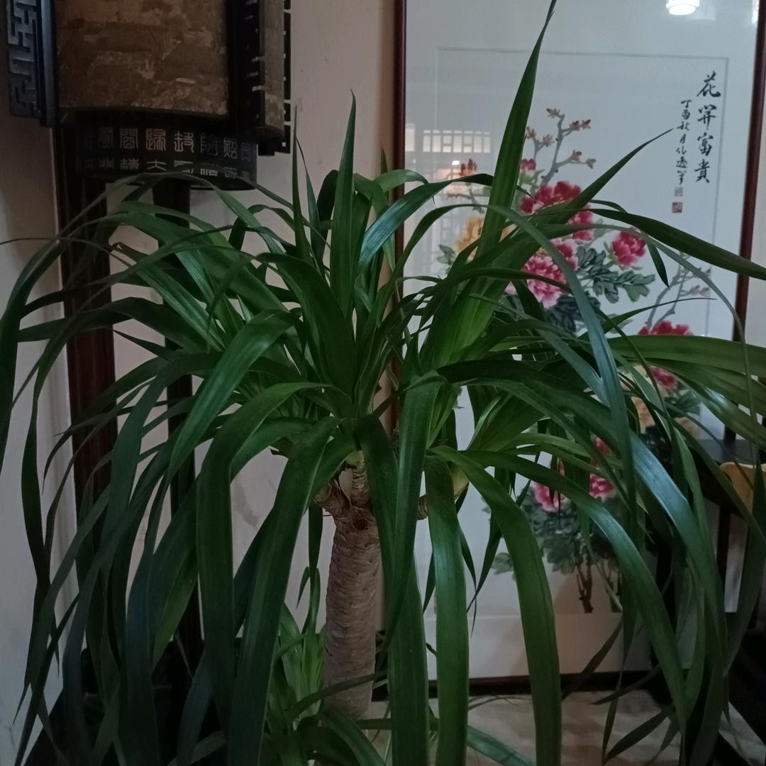 百货商店