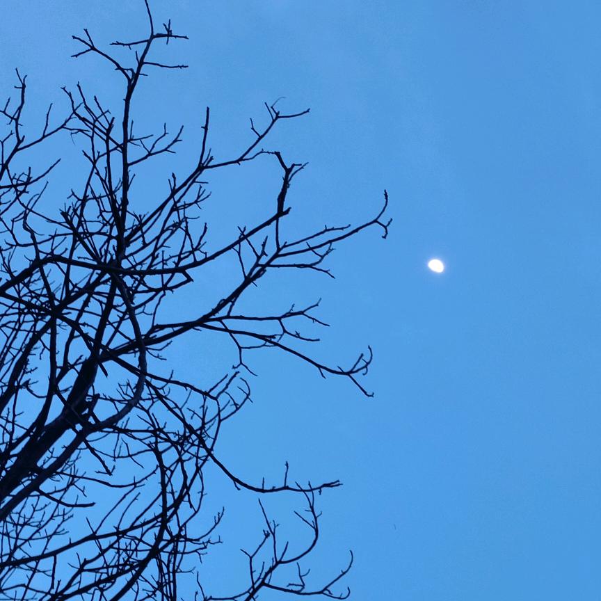 沐沐和之之的妈妈（单亲妈妈）