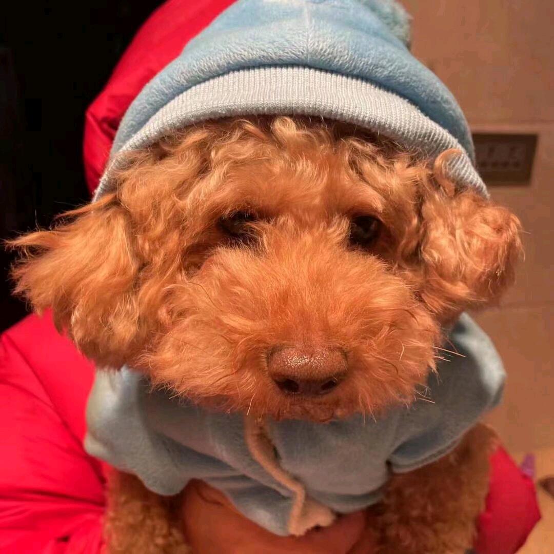 小旺旺（好物）