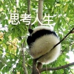 木子李🌺