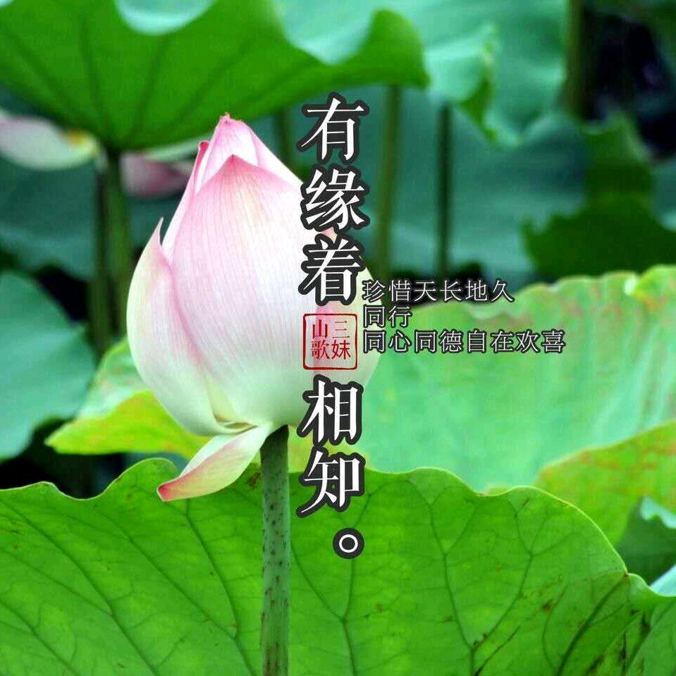永远