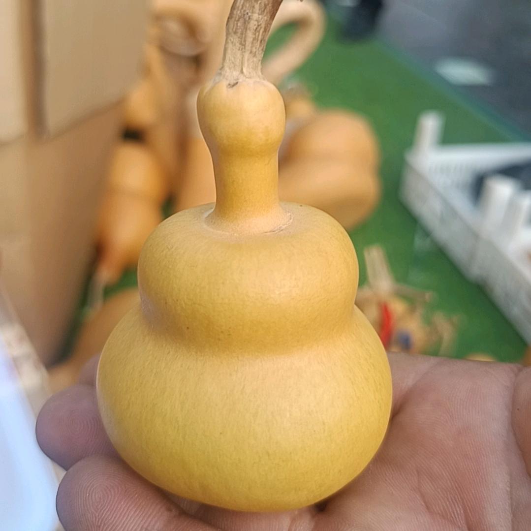 葫芦搬运工16888