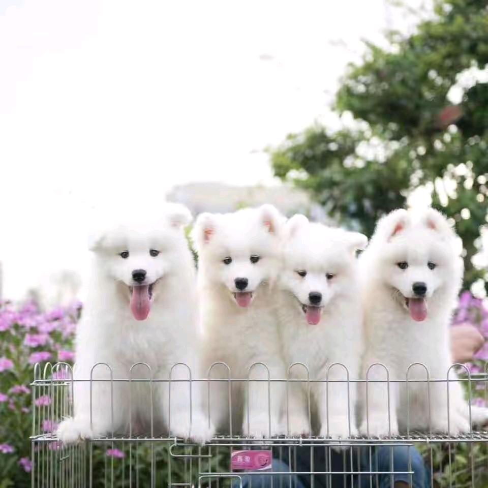 岁❤月❤遇🌹而🌹安。😘😘😘