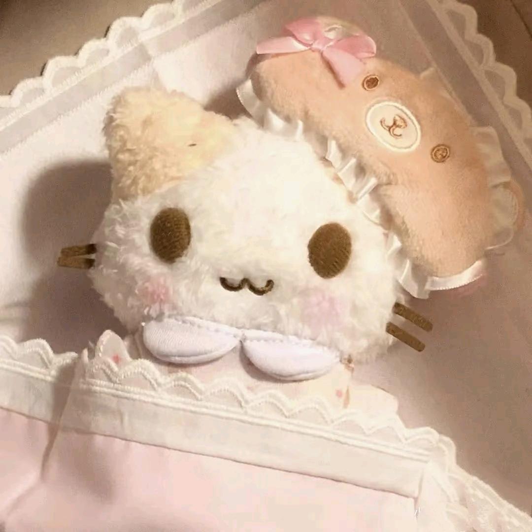 小鬼🌱