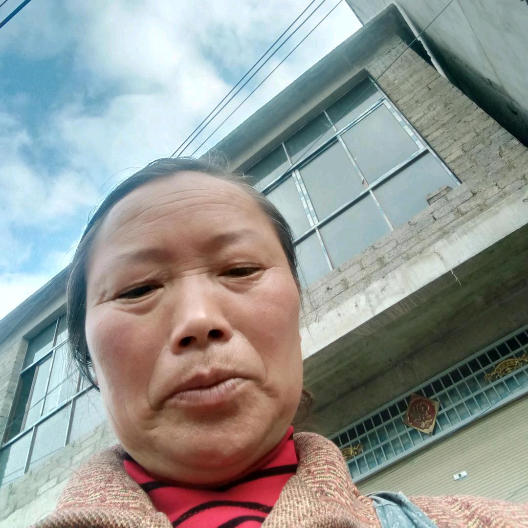 杨洪琼挖药