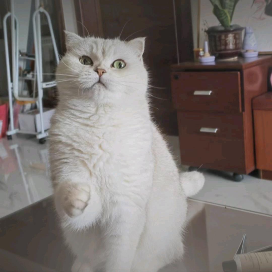 miu