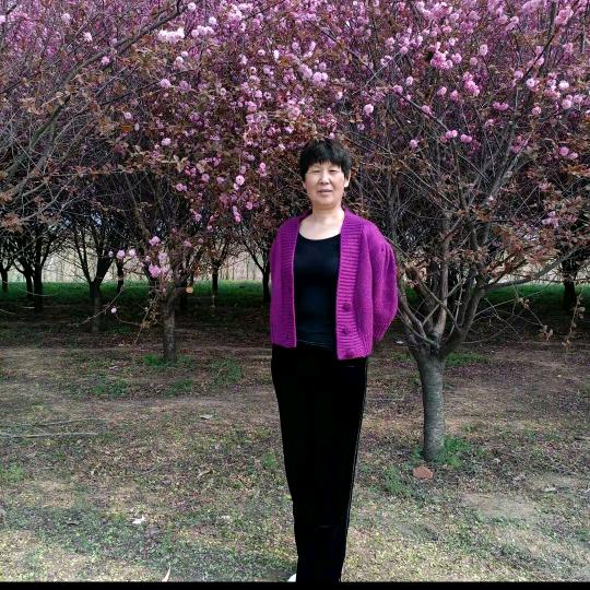 小苹果