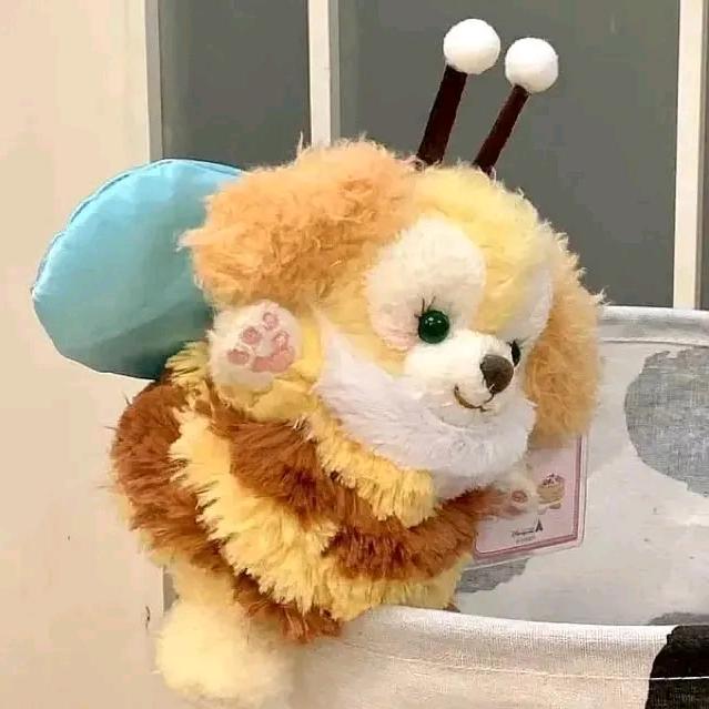 清水瓢