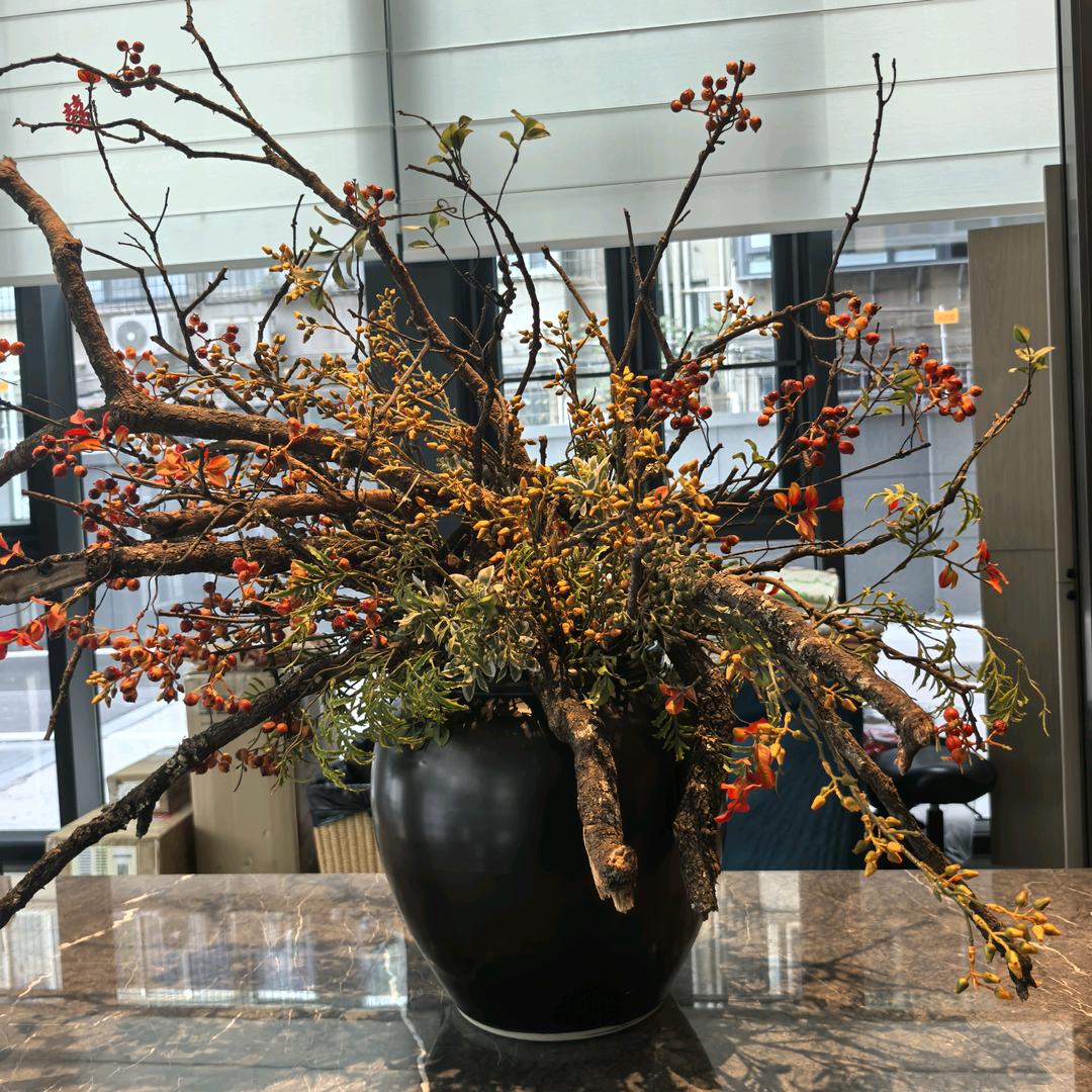 素锦流年
