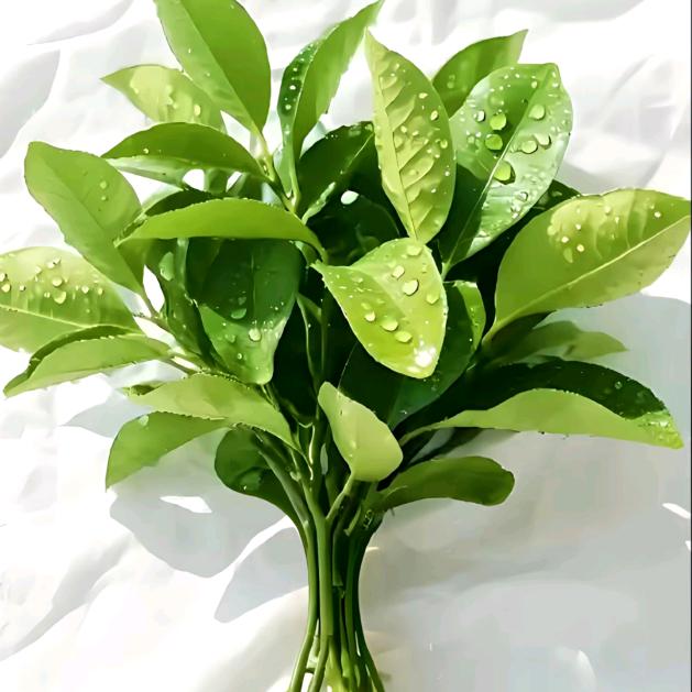 小财迷