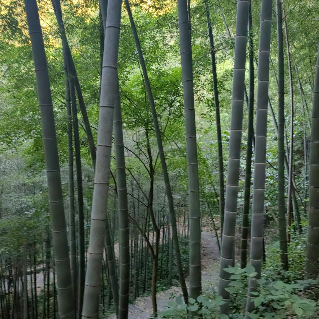 熟而陌生