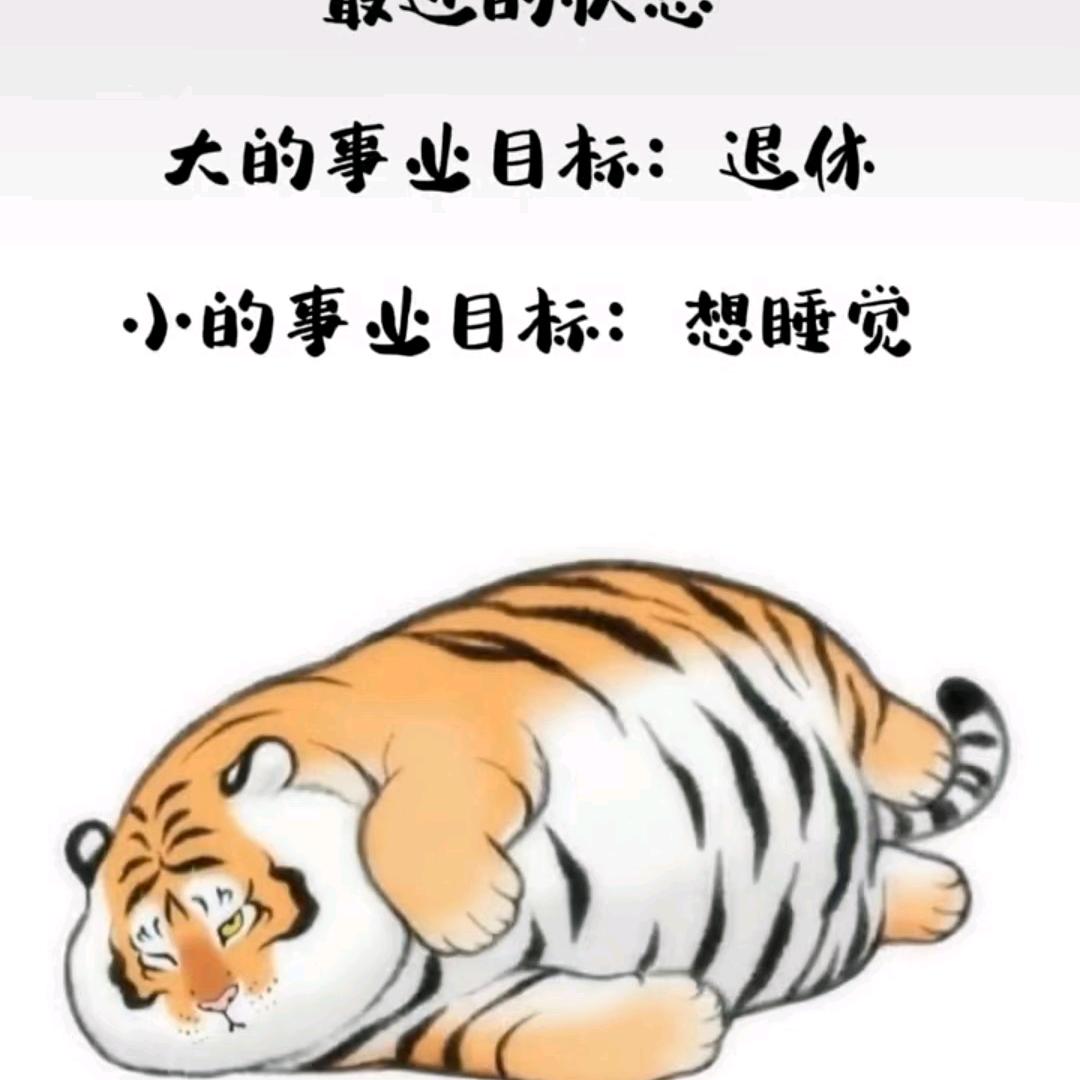 一切随缘