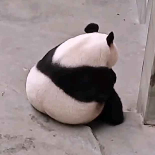 娜李硕果圆
