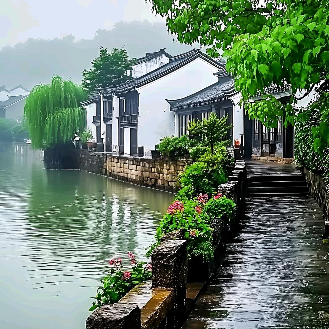 晚风🍃
