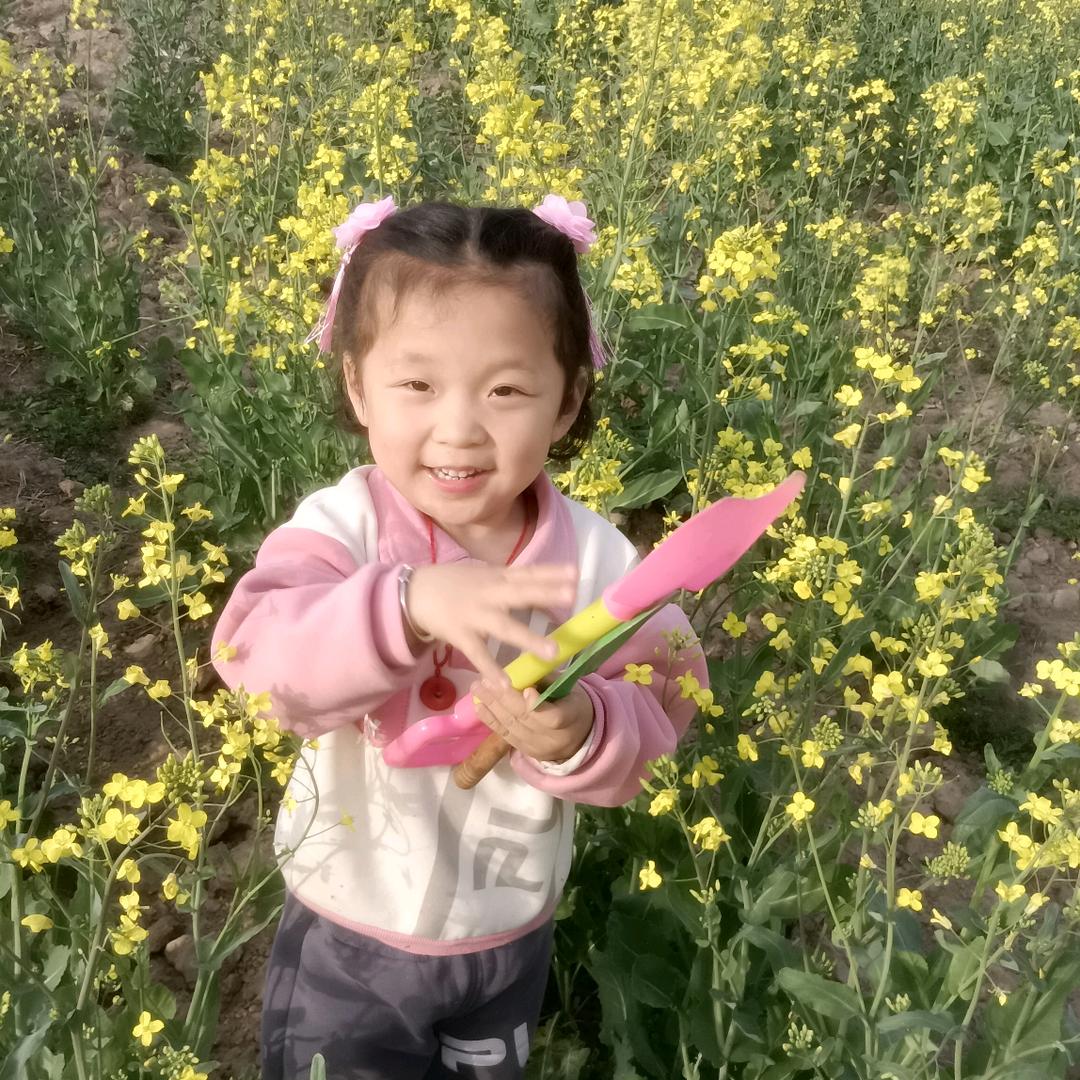 🌻🌻顺顺